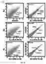 Fig. 09 - Generation of human iPS cells by a synthetic self-replicative RNA