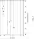 Fig. 06 - Nucleic acid amplification