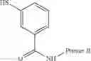 Fig. 22 - Nucleic acid amplification