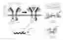 Fig. 01 - MODULAR EXTRACELLULAR SENSOR ARCHITECTURE FOR REGULATING GENES