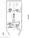 Fig. 08 - MODULAR EXTRACELLULAR SENSOR ARCHITECTURE FOR REGULATING GENES