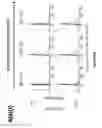 Fig. 22 - MODULAR EXTRACELLULAR SENSOR ARCHITECTURE FOR REGULATING GENES