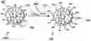 Fig. 01 - IMMUNOPROTECTION OF PANCREATIC ISLETS