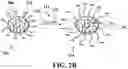 Fig. 05 - IMMUNOPROTECTION OF PANCREATIC ISLETS