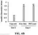 Fig. 13 - IMMUNOPROTECTION OF PANCREATIC ISLETS