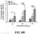 Fig. 16 - IMMUNOPROTECTION OF PANCREATIC ISLETS