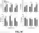 Fig. 17 - IMMUNOPROTECTION OF PANCREATIC ISLETS