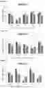 Fig. 02 - ANTISENSE OLIGONUCLEOTIDES FOR MODULATING REL EXPRESSION