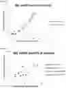 Fig. 04 - ANTISENSE OLIGONUCLEOTIDES FOR MODULATING REL EXPRESSION