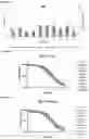 Fig. 05 - ANTISENSE OLIGONUCLEOTIDES FOR MODULATING REL EXPRESSION
