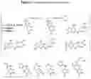 Fig. 08 - SNAP25 antisense oligonucleotides