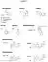 Fig. 14 - SNAP25 antisense oligonucleotides