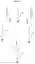 Fig. 19 - SNAP25 antisense oligonucleotides
