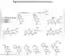 Fig. 07 - SCN9A antisense pain killer