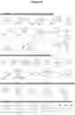 Fig. 10 - SCN9A antisense pain killer