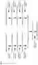 Fig. 08 - HIGH AMYLOSE WHEAT - III