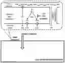 Fig. 01 - TRANSGENIC LAND PLANTS COMPRISING A PUTATIVE TRANSPORTER PROTEIN OF AN EDIBLE EUKARYOTIC ALGAE
