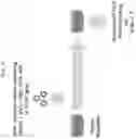 Fig. 02 - Skeletal muscle cells and method for inducing same