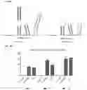 Fig. 06 - Targeted CRISPR Delivery Platforms