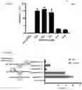 Fig. 43 - Targeted CRISPR Delivery Platforms