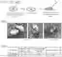 Fig. 79 - Targeted CRISPR Delivery Platforms