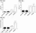 Fig. 07 - Gene therapy for treating Wilson's disease