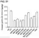 Fig. 28 - Gene therapy for treating Wilson's disease