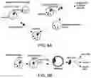 Fig. 07 - Methods for making and using modified oocytes