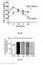 Fig. 07 - Exosome delivery system