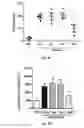 Fig. 09 - Exosome delivery system