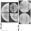 Fig. 13 - Microorganisms for the production of insect pheromones and related compounds