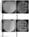 Fig. 22 - Microorganisms for the production of insect pheromones and related compounds