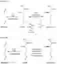 Fig. 02 - Process for producing L-methionine from methional