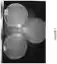 Fig. 09 - DNA constructs and biological devices for producing carbo sugars