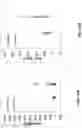 Fig. 18 - GENERATING CELL-FREE DNA LIBRARIES DIRECTLY FROM BLOOD