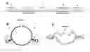 Fig. 01 - Probes and methods for measuring tandem repeats