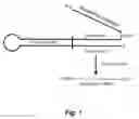 Fig. 02 - CONSTRUCTS AND METHODS FOR SIGNAL AMPLIFICATION