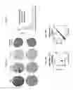 Fig. 64 - Methods and systems for determining proportions of distinct cell subsets