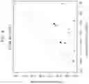 Fig. 08 - Methods for subtyping of lung squamous cell carcinoma