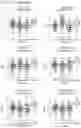 Fig. 30 - Methods for subtyping of lung squamous cell carcinoma