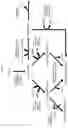 Fig. 02 - Materials and methods for controlling oxidation and reduction in biosynthetic pathways of species of the genera ralstonia and cupriavidus and organisms related thereto