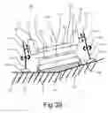 Fig. 33 - HEAT TREATMENT METHOD AND APPARATUS