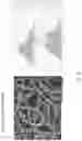 Fig. 09 - Method for producing a pleatable textile fabric with electrostatically charged fibers