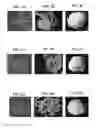 Fig. 03 - Method for recovering pulp fibers from used absorbent article