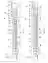 Fig. 11 - Systems, apparatus and methods for collecting and separating floating debris and water from a body of water