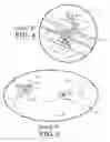 Fig. 05 - Lighting system for a portable shelter