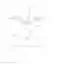 Fig. 09 - Invertible boat outboard motor lock