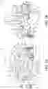Fig. 04 - Double pull closure latch for front trunk having emergency release