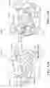 Fig. 33 - Double pull closure latch for front trunk having emergency release