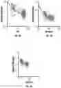 Fig. 06 - Synthetic formation evaluation logs based on drilling vibrations